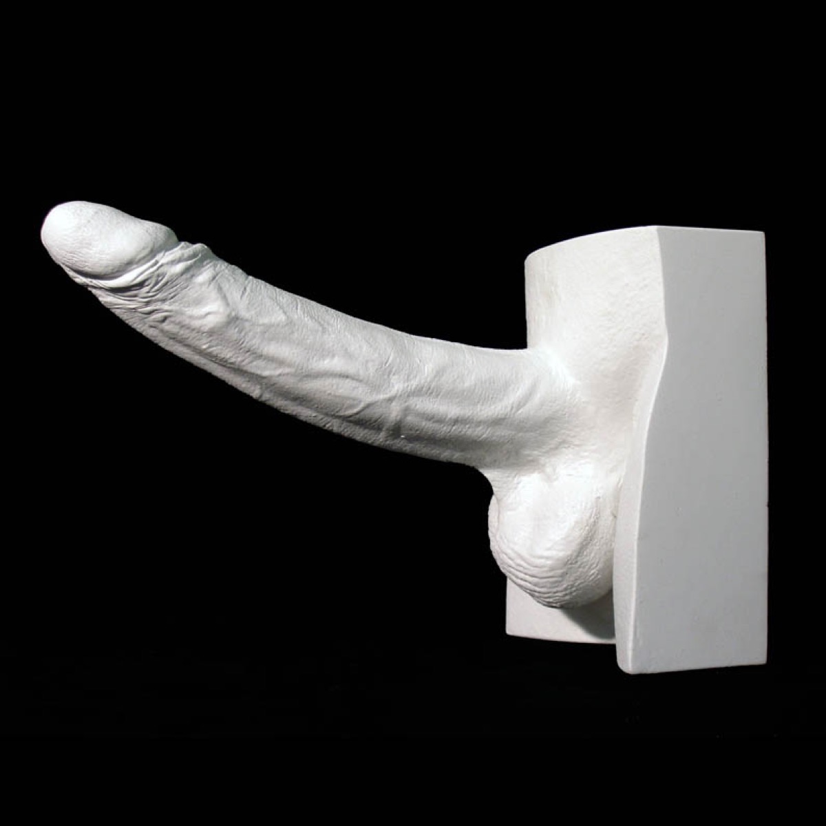 Meet The Woman Who Collects Plaster Casts Out Of Famous Rock Stars Penises