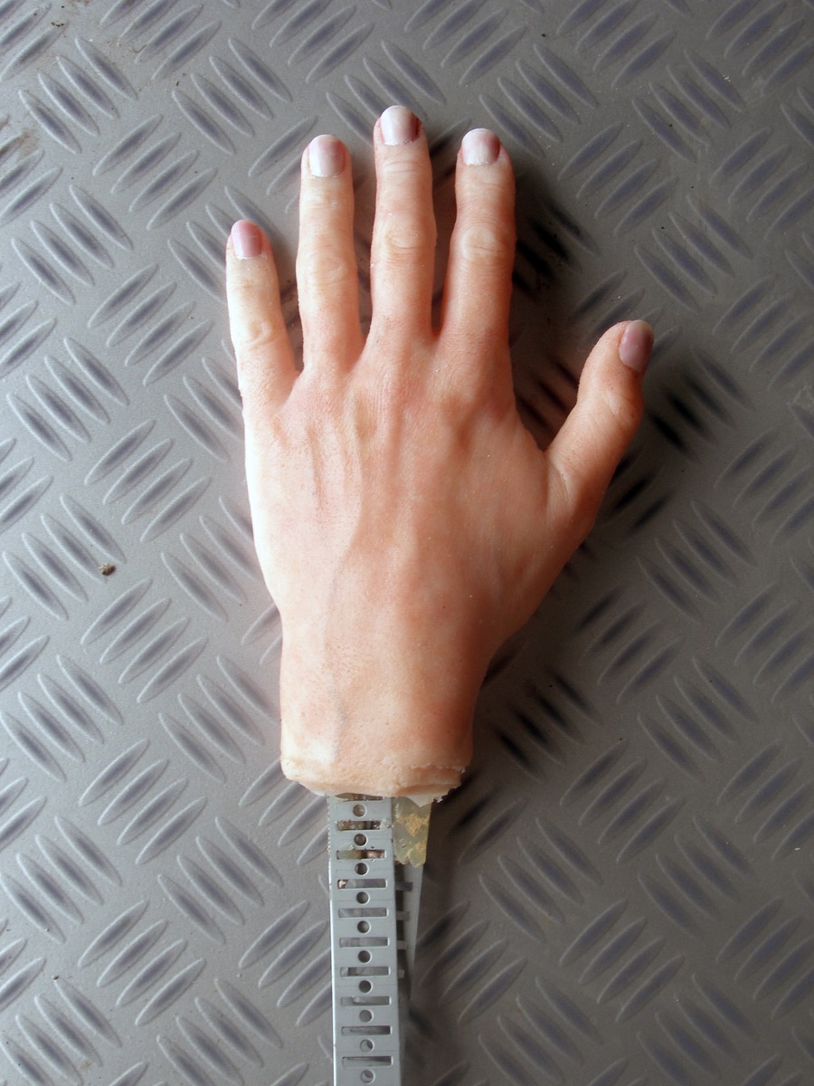 Adult Hand in Silicone Rubber Jamie McCartney - Brighton Body Casting